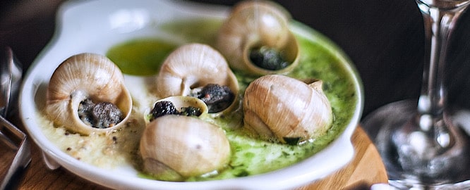 Snails of herault