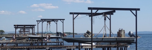 thau lagoon and oyster farming