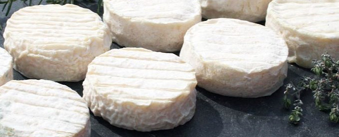 Pélardon goat cheese-