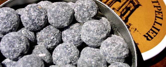 Candy grisette from Montpellier-