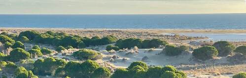 View of Espiguette beach from the lighthouse