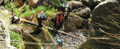 Participants lors d'une session de canyoning en Cévennes