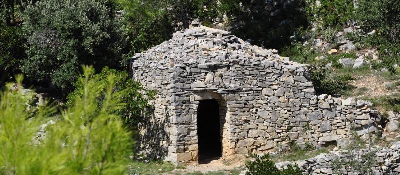 capitelle garrigue