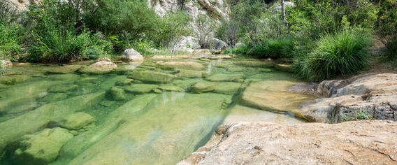 eaux translucide du moulin de la Ribaute