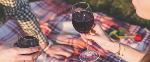 Toast et dégustation de vin devant les vignes du Pic Saint Loup