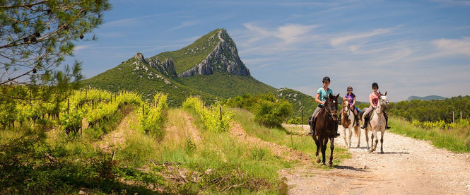 balade à cheval en pic saint loup