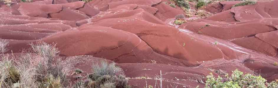 La ruffe rouge sol particulier autour du Salagou