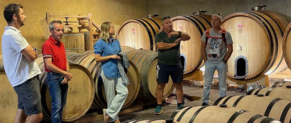 séminaire entreprise oenologique dans les vignobles autour de Montpellier