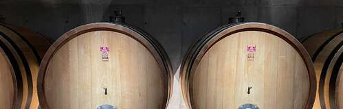 Elevage du vin en tonneaux dans nos regions viticoles de France